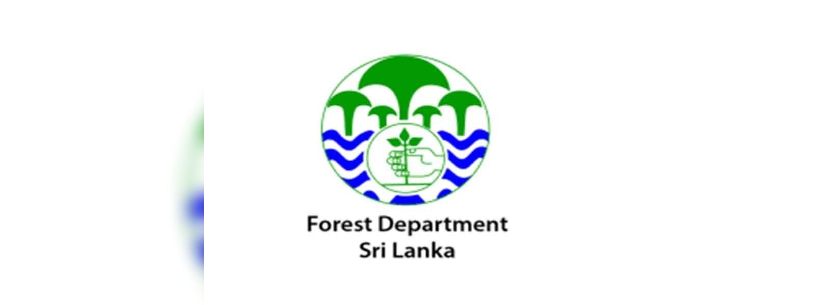 වනාන්තර ගිනි තබන පුද්ගලයින් සම්බන්ධයෙන් නීතිමය පියවර - වන සංරක්ෂණ දෙපාර්තමේන්තුව