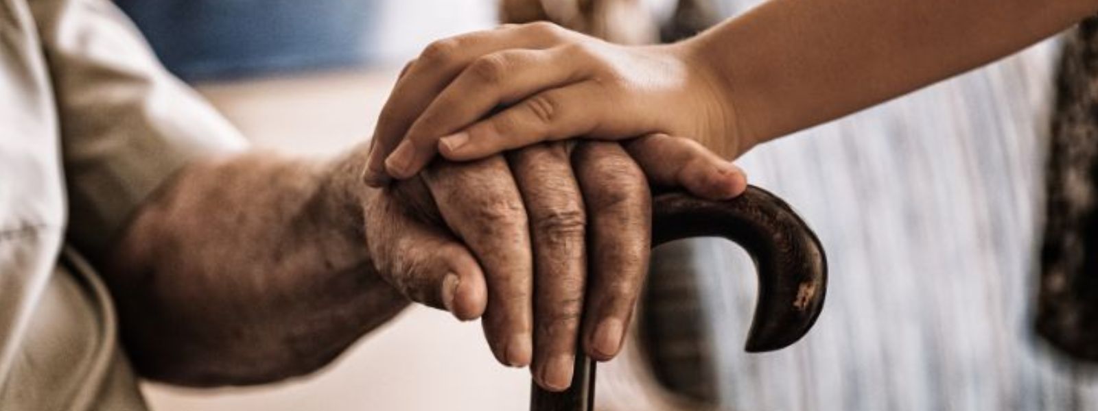 Period to Register Elders' Homes Until September 2026