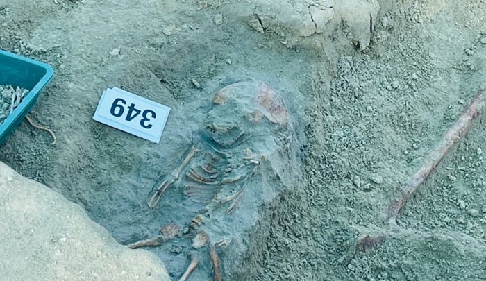 Chemmani mass grave: remains of 10 more bodies uncovered, total rises to 351