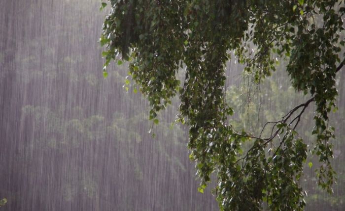 Rain expected in several districts of Sri Lanka today