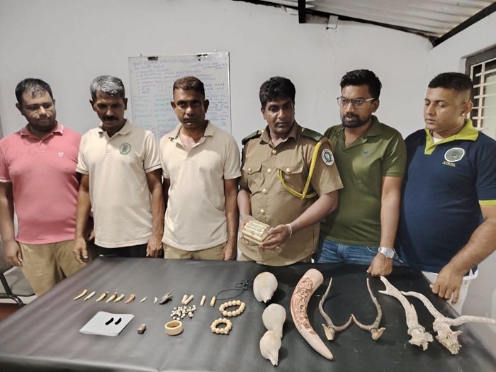 From tusks to teeth : Authorities uncover illegal wildlife collection